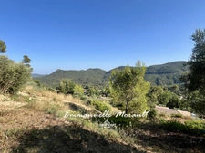 Terrain à vendre de 910 m² avec PC accordé à BAGNOLS EN FORET (83)