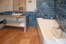 Maison d'hôtes de charme avec piscine à vendre à BAGNOLS EN FORET (83)