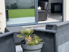 À VENDRE - WIMILLE - MAISON 9 PIÈCES - 4 CHAMBRES - GARAGE - JARDIN CLOS - TERRASSE 