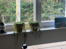À VENDRE - AMBLETEUSE -  APPARTEMENT 4 PIÈCES - 71,84 M2 - PLACE DE PARKING