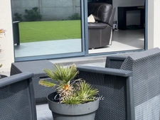 House for sale, 9 rooms, WIMILLE (62)