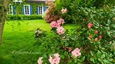 À VENDRE - SAMER - DOMAINE D'EXCEPTION - 379 M2 - ÉLÉGANTE DEMEURE DE CARACTERE SUR 3 HECTARES  - VIE SEMI PLAIN-PIED - 2 ÉME MAISON - DÉPENDANCES