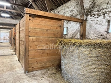 À VENDRE - HESDIN L'ABBÉ - CORPS DE FERME RÉNOVÉ - DOMAINE EQUESTRE - CAPACITÉ DE L'ENSEMBLE 468 M2 - HABITATION PRINCIPALE 8 PIÈCES - GARAGE - PISCINE 32 M2 - TERRAIN CLOS - DÉPENDANCES.