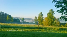À VENDRE - SAMER - DOMAINE D'EXCEPTION - 379 M2 - ÉLÉGANTE DEMEURE DE CARACTERE SUR 3 HECTARES  - VIE SEMI PLAIN-PIED - 2 ÉME MAISON - DÉPENDANCES