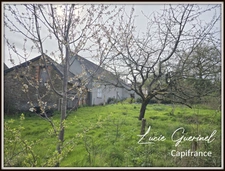 Maison plain-pied à Rougé (44) – 120 m² – Terrain 1 400 m² – Fort potentiel d’aménagement