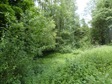 proche de ARGENTAN (61) propriété de 9078 m² de terrain