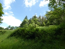 proche de ARGENTAN (61) propriété de 9078 m² de terrain
