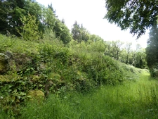 proche de ARGENTAN (61) propriété de 9078 m² de terrain