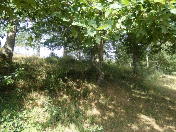 Terrain à vendre  proche de POTIGNY (14) Terrain de 4730 m² avec une bâtisse