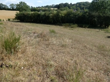 Terrain à vendre  proche de POTIGNY (14) Terrain de 4730 m² avec une bâtisse