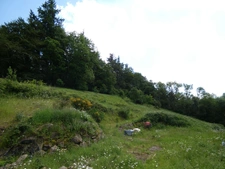 proche de ARGENTAN (61) propriété de 9078 m² de terrain