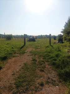 Terrain à vendre  COURLAOUX (39)