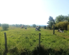 Terrain à vendre  COURLAOUX (39)