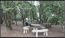 Ardèche (07) department, for sale in LE TEIL, 9-room house of 236 m² - Large wooded plot - building plots