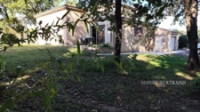 Maison d'architecte  – Terrain boisé de 5 741 m² sans vis-à-vis  à CHATEAUNEUF DU RHONE