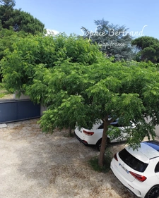 Montélimar Sud – Villa d'architecte d'exception avec T2 indépendant et piscine à débordement