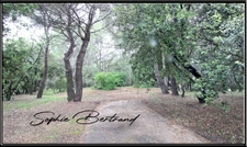Ardèche (07) department, for sale in LE TEIL, 9-room house of 236 m² - Large wooded plot - building plots