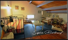 Ardèche (07) department, for sale in LE TEIL, 9-room house of 236 m² - Large wooded plot - building plots