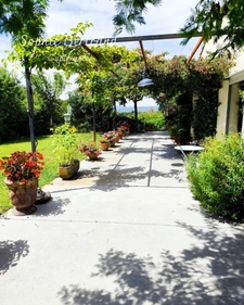 Montélimar Sud – Villa d'architecte d'exception avec T2 indépendant et piscine à débordement