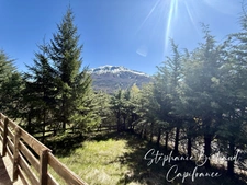 Maison à vendre 5 pièces MONTCLAR (04)