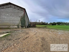 A vendre Vaas (72500), 10 minutes de Montval sur Loir, entre Tours et Le Mans – En campagne, ensemble immobilier comprenant un vaste entrepôt et une maison d'habitation