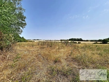 Sarthe (72), Propriété à vendre sur plus de 4 hectares, habitation et nombreuses dépendances et espaces de stockage, fort potentiel agricole, touristique ou artisanel