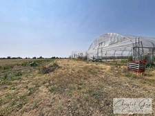 Sarthe (72), Propriété à vendre sur plus de 4 hectares, habitation et nombreuses dépendances et espaces de stockage, fort potentiel agricole, touristique ou artisanel
