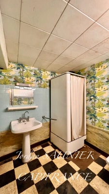 House for sale 3 rooms SORESE (81)