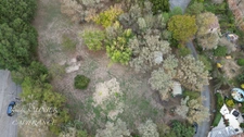 Land for sale in SAINT FELIX LAURAGAIS (31)