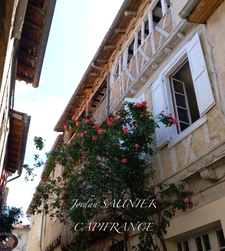 Half-timbered house for sale in SOREZE (81)