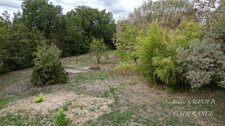 Land for sale in SAINT FELIX LAURAGAIS (31)