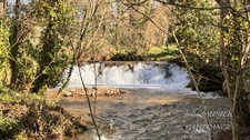 Bioclimatic wooden house for sale, 7 rooms, SOREZE (81)