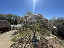 House for sale AXE CONNERRE /LA FERTE BERNARD (72)Mansion 245 m² living space, outbuildings, swimming pool, land 1550 m² 