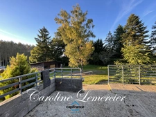 Maison à vendre 5 pièces proche de CONNERRE (72)La Chapelle saint remy, Maison sur sous-sol total 90 m² habitables  avec un très beau terrain de 2500 m² paysagé