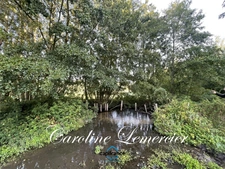Maison à vendre 4 pièces proche de CONNERRE (72)FERMETTE en campagne isolée de 60 m² habitables 2 chambres avec un potentiel evolutif sur dependances, 1 hectare de terrain avec ruisseau 