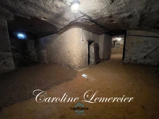 House for sale AXE CONNERRE /LA FERTE BERNARD (72)Mansion 245 m² living space, outbuildings, swimming pool, land 1550 m² 