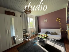 Maison à vendre 7 pièces axe LA FERTE BERNARD /LE MANS, Proprieté  de 183 m² habitables, 4 Chambres et studio  2 chambres, sur 9 hectares de terre 