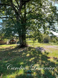 House for sale AXE CONNERRE /LA FERTE BERNARD (72)Mansion 245 m² living space, outbuildings, swimming pool, land 1550 m² 