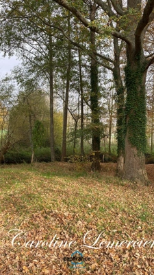 Maison à vendre 4 pièces proche de CONNERRE (72)FERMETTE en campagne isolée de 60 m² habitables 2 chambres avec un potentiel evolutif sur dependances, 1 hectare de terrain avec ruisseau 
