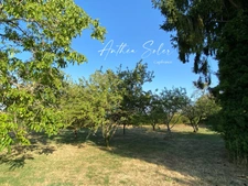 Former 18th-century farmhouse – 130 m², outbuildings and over 4,000 m² of land