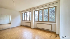 A vendre sur Lyon 7, appartement T1 possibilité T2, 46 m², secteur recherché
