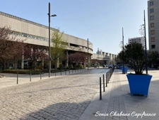A vendre sur SAINT-PRIEST MANISSIEUX (69 800) - Terrain plat constructible de 1 004 m²