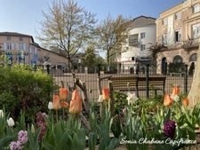 A vendre sur SAINT-PRIEST MANISSIEUX (69 800) - Terrain plat constructible de 1 004 m²