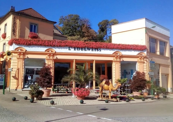 Immeuble mixte à vendre au coeur de BOURBONNE LES BAINS (52)