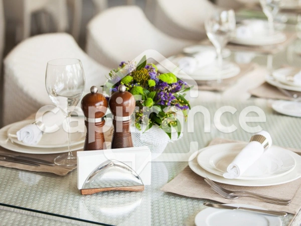 Dpt Rhône (69), à vendre LYON 7EME ARRONDISSEMENT Restaurant 