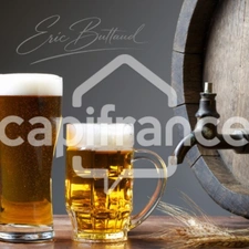  vendre LYON 7EME ARRONDISSEMENT (69)