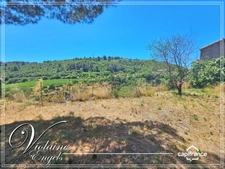 Minerve – Stone house with garden and open views – the ideal holiday home in one of the Most Beautiful Villages in France