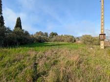 Spacious Land with Building Potential – 3,730 sqm – South of France Countryside