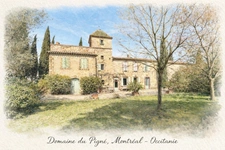 EXCEPTIONAL ESTATE FOR SALE – TOURISM & EVENT BUSINESS OPPORTUNITY – SOUTH OF FRANCE
