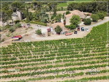 Domaine viticole d'exception de 47 hectares avec mas en pierre, gîtes et vignoble AOC Minervois – Hérault